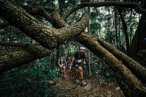 BIB: 
                            <button type="button" onclick="openModal(25665078)" class="btn btn-primary btn-sm float-right btn-popup" data-toggle="modal" data-target=".modal-high-quality">
                        <i class="fas fa-shopping-cart"></i> Add to Cart
                    </button>
                                            <button type="button" onclick="isThisMe(25665078, true)" class="btn btn-success btn-sm float-right btn-popup btn-isme hidden" data-toggle="tooltip" data-placement="bottom" title="นี่คือรูปของคุณใช่ไหม คลิกที่นี่เพื่อเอาเข้าอัลบั้ม">
                        <i class="fas fa-plus"></i> Add to album
                    </button>
                    <button type="button" onclick="isThisMe(25665078, false)" class="btn btn-warning btn-sm float-right btn-popup btn-isnotme hidden">
                        <i class="fas fa-ban"></i> Remove from album
                    </button>